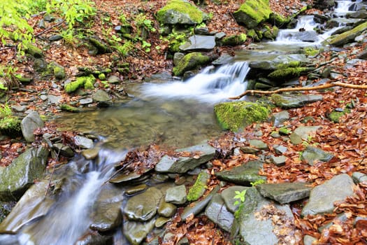 A fast mountain stream flows between stone boulders in a wild, spring wet and mysterious Carpathian forest