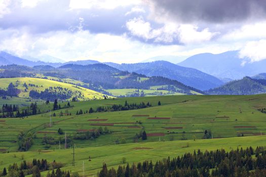 The beautiful and majestic mountain landscape of the Carpathian hills, brown stripes of cultivated land, the slopes of green grassy mountains, tall pines shrouded in mist.