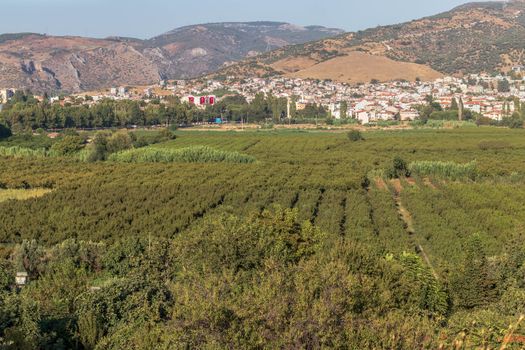 a green ultra wide landscape shoot from a farmland - there is mountain and city of farm. photo has taken at izmir/turkey.