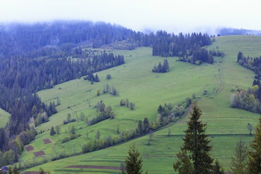 A dirt country road meanders up the slope of a green grassy mountain from cultivated land sites to high pines shrouded in mountain fog.