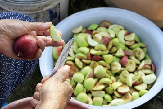 The farmer's women's hands peel the apples in the garden by cutting them with a knife and throwing the pieces into an enamel bowl.