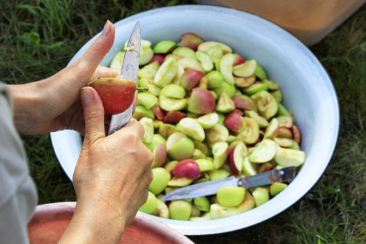 The farmer's women's hands peel the apples in the garden by cutting them with a knife and throwing the pieces into an enamel bowl.