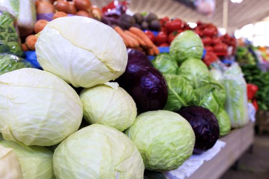 Closeup of white, red and green cabbage piled on the counter of the market against the background of blurred other vegetables in daylight.