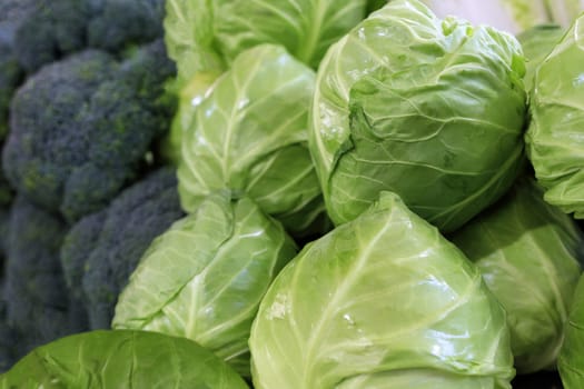 Closeup of heads of green juicy cabbage piled on the market in daylight.