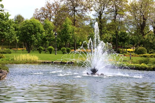 A beautiful fountain in the midst of a spring pond against the backdrop of a picturesque city park, green meadow and flowering chestnuts.