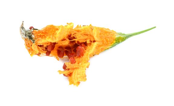 Overripe orange bitter melon, split open, with red seeds falling out, isolated on a white background