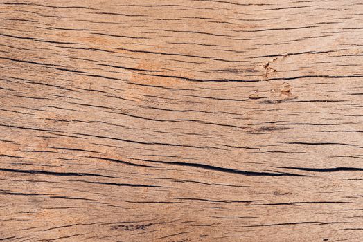 Old wood board, copy space wooden texture pattern background