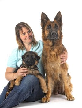 german shepherds and woman in front of white background