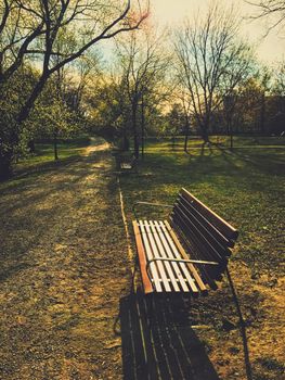 Empty bench in park during a city lockdown in coronavirus pandemic, outdoors and social issue