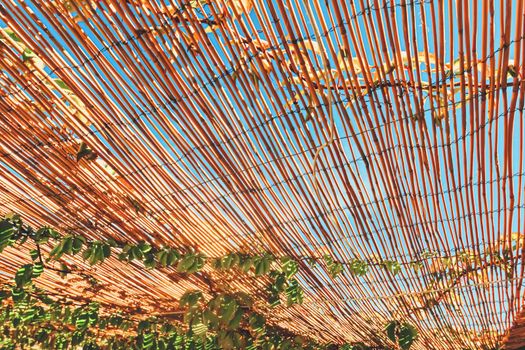 Wooden roof on the beach, nature and design