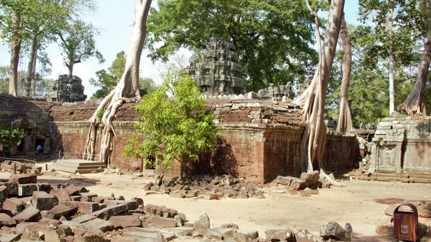 Cambodia, siem reap angkor wat temple ta prohm tree roots tomb raider hindu buddhist shrine