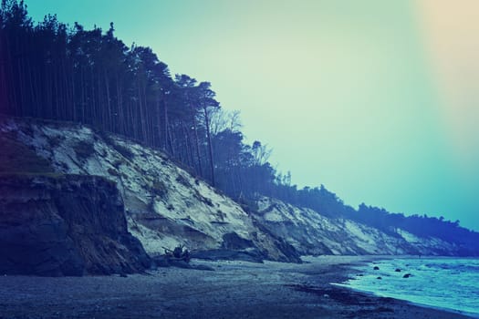 Sea cliff and forest. Dark cold winter over coast.