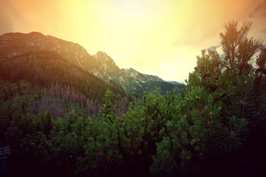 Fog in mountains. Fantasy and colorfull nature landscape. Nature conceptual image.