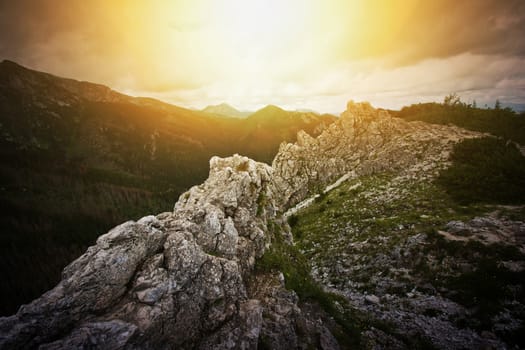 Fog in mountains. Fantasy and colorfull nature landscape. Nature conceptual image.