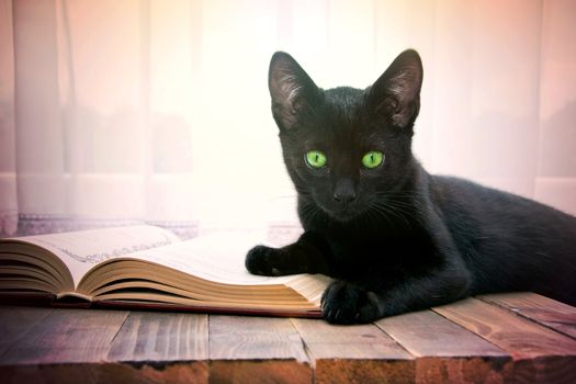 Open book and black cat on wooden table. Knowledge and education conceptual image.