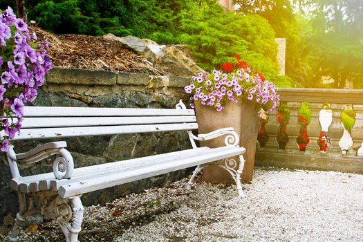 Bench in beautiful green park with flowers.