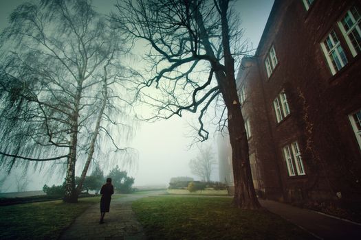 Lonely woman walking in the foggy park in the morning. Fog in the park.