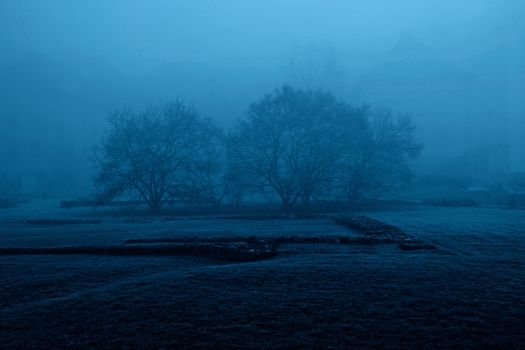 Fog in the morning in the city park. Nature.