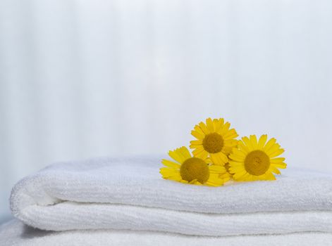 Three yellow flowers on folded towels and backlight