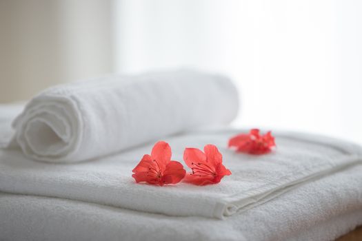 Three red azalead flowers on folded towels and backlight