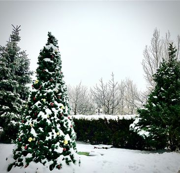Christmas tree decotaed and covered with snow. Holiday Season Christmas concept
