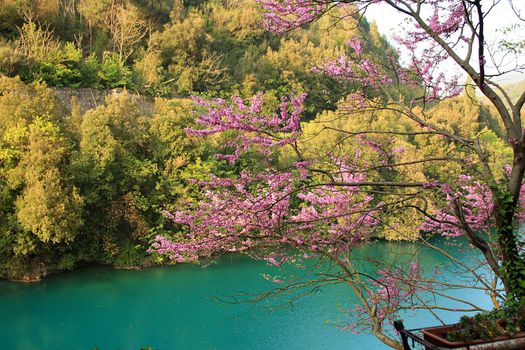 colors of nature in siphon narni