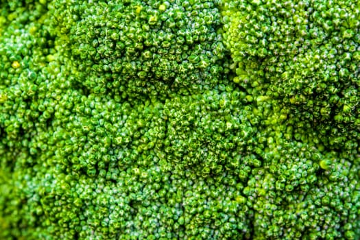 Close up to surface texture of freshness Broccoli vegetable