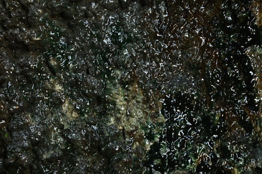 Raw stone Texture