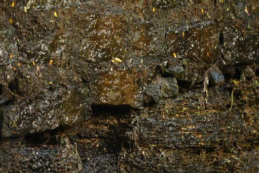Raw stone Texture