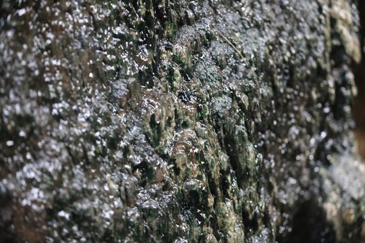 Raw stone Texture
