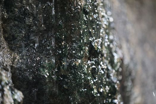 Raw stone Texture