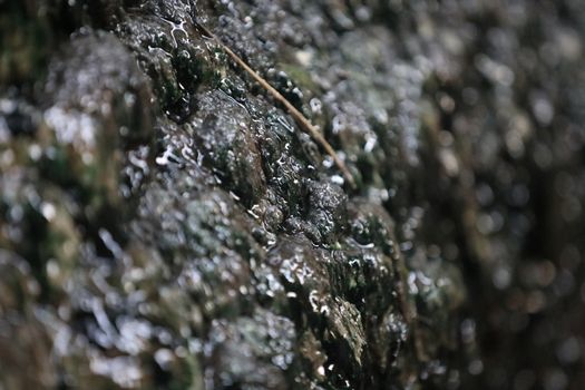 Raw stone Texture