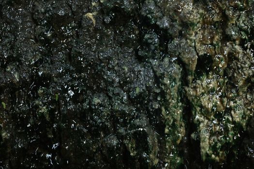 Raw stone Texture