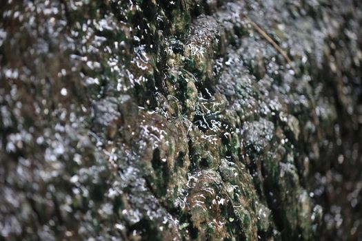 Raw stone Texture