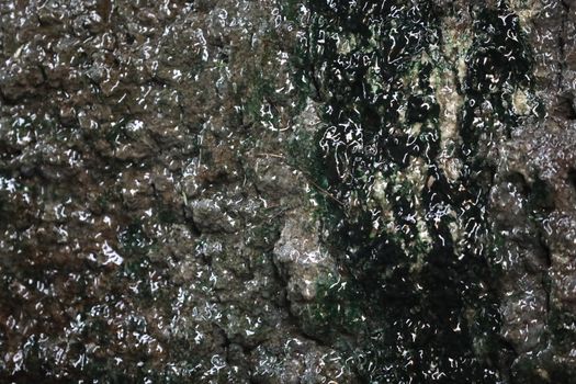 Raw stone Texture