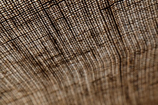 Abstract Cloth Texture