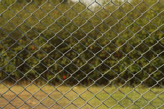 Abstract Metal Fence net