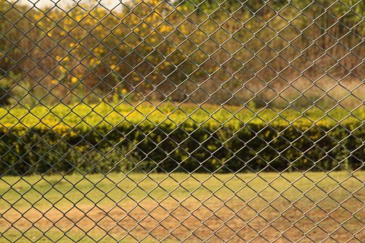 Abstract Metal Fence net