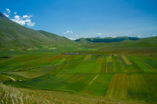 CASTELLUCCIO DI NORCIA AND ITS FLOWERING BETWEEN MICRO-COLORS OF FLOWERS AND NATURE