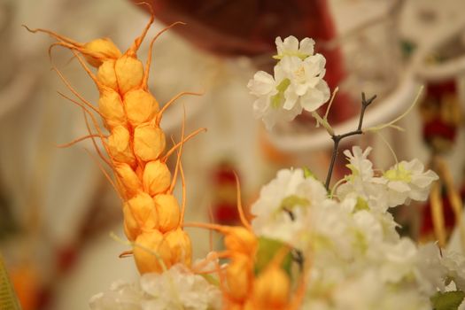 Closeup shot of Flowers