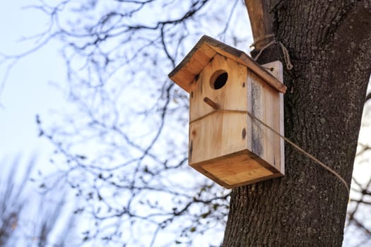 A wooden new birdhouse is attached to a tree with a rope in a park against a blue sky, close-up view.