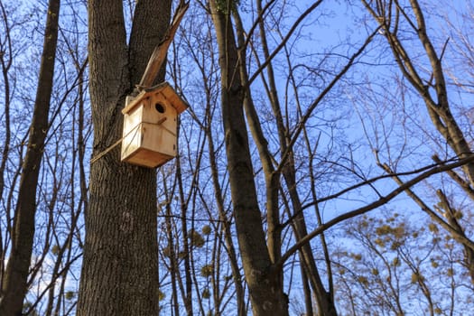 Wooden new nesting box is attached on a tree in the spring in the forest against the blue sky in the sun's rays.