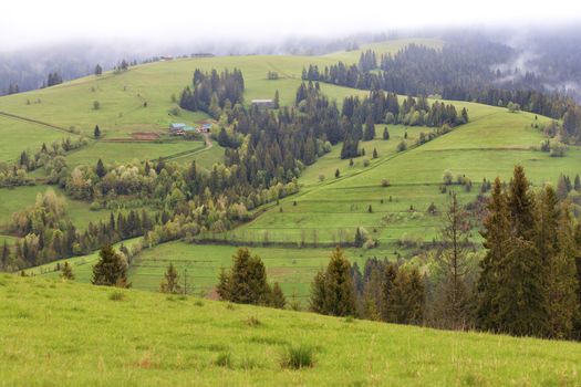 Whitish fog descends from the peaks of the Carpathian Mountains against the background of the morning mountain summer landscape of the Carpathians, villages and country roads.