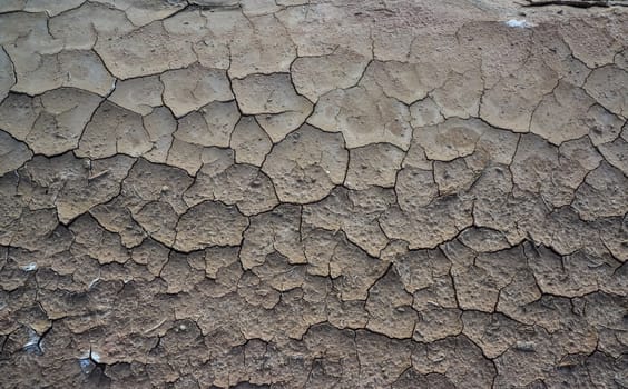 Cracked red clay and white salt on the surface in a dried riverbed in the desert of New Mexico, USA