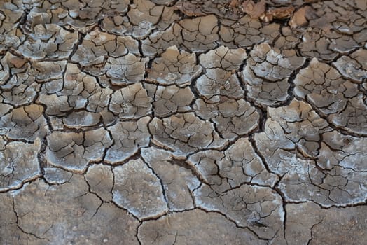 Cracked red clay and white salt on the surface in a dried riverbed in the desert of New Mexico, USA