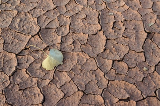 Cracked red clay and white salt on the surface in a dried riverbed in the desert of New Mexico, USA