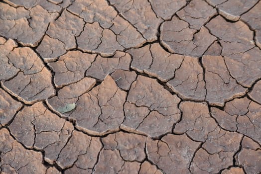 Cracked red clay and white salt on the surface in a dried riverbed in the desert of New Mexico, USA