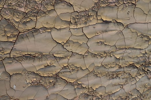 Cracked red clay and white salt on the surface in a dried riverbed in the desert of New Mexico, USA