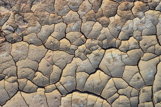 Cracked red clay and white salt on the surface in a dried riverbed in the desert of New Mexico, USA