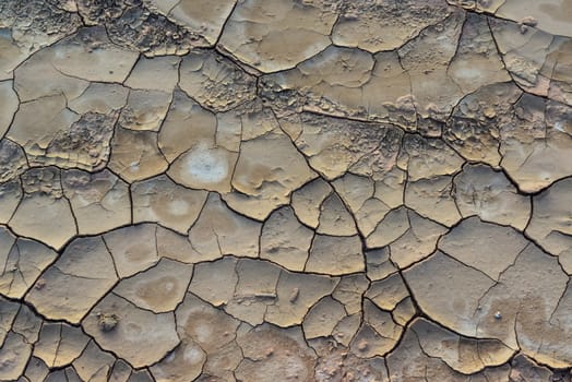 Cracked red clay and white salt on the surface in a dried riverbed in the desert of New Mexico, USA